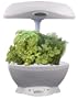 AeroGrow AeroGarden Ultimate Kitchen Gardener with 6-Pod Gourmet Herb Seed Kit (Color: White)