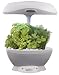 Tools & Hardware : AeroGrow AeroGarden Ultimate Kitchen Gardener with 6-Pod Gourmet Herb Seed Kit (Color: White)