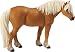 Winner's Circle: Haflinger_s-1