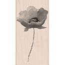 Hero Arts Poppy Woodblock Stamp