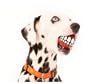 Wolters ROGZ Grinz-Ball zum Bef�llen rot Snackball f�r Hunde Hundespielzeug Hundeball