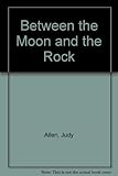 Between the moon and the rock