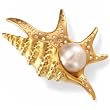 Paspaley South Sea Cultured Pearl Pelican''s Foot Brooch