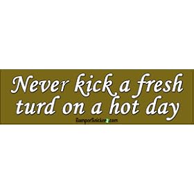 Never Kick A Fresh Turd On A Hot Day - Funny Bumper Stickers (Medium 10x2.8 in.)
