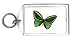 Keychain with birdwing, insect, butterfly Image