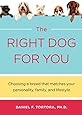 Right Dog For You