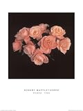 Roses 1988 by Robert Mapplethorpe. Art Print Poster FRAME IT.. 23.5 inches width by 31.5 inches height. Highest Quality Art Poster Print