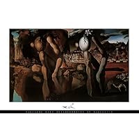 Salvador Dali Metamorphosis Art Print Poster