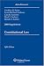 Books : Constitutional Law 2008 Supplement