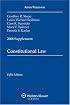 Constitutional Law 2008 Supplement