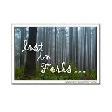 Lost in Forks Laptop/Binder Sticker