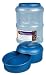Petmate Le Bistro Pet Feeder with Microban, 20-Pound, Peacock