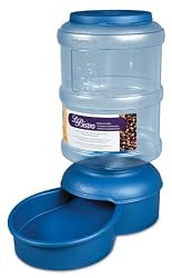 Petmate Le Bistro Pet Feeder with Microban, 20-Pound, Peacock