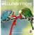 Freche Wellensittiche 2010. Postkartenkalender
