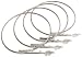 Fusionbrands 5-Inch Stainless Steel Food Loop Flame Trussing Tool for the Grill, Set of 4