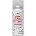 RUSTOLEUM 203536D Clear Best Coat Enamel Anti-Rust Spray Paint
