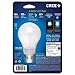 Cree 40W Equivalent Daylight (5000K) A19 LED Light Bulb with 4Flow Filament Design, 4 Pack