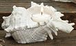 Pack of 4 Ocean Inspired "Seashell" Shaped Tea Light Holders
