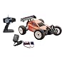 Megatech Megapro RCB Buggy 1:18