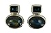 Montana Crystal and Genuine Labradorite Earring