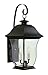 Trans Globe Lighting 4971 BK Outdoor Downing 21.5" Wall Lantern, Black