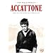 Accattone - Wer nie sein Brot mit Tränen aß