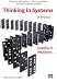 Thinking in Systems: A Primer