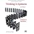 Thinking in Systems: A Primer
