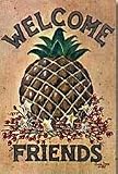 Folk Pineapple Welcome Friends Large Flag