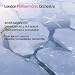Shostakovich - Symphonies Nos 1 & 5