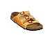 Papillio 253291 Florida Lipari orange 37 eu regular