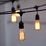 Heavy Duty Vintage Filament 10-Socket Connectable Strand (Bulbs not included)