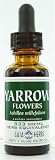 Yarrow Flowers Extract [4 Fluid Ounces] Gaia Herbs