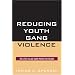 Reducing Youth Gang Violence: The Little Village Gang Project in Chicago (Violence Prevention and Policy)