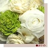 �f�G�ȃv���U�[�u�h�t�����[�̃A�����W�����g  �v�����Z�X�z���C�g �O�����h�T�C�Y�y���j���E�L�O���E�a�����E�t�����[�M�t�g�E�o���z