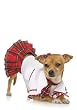 3PC Schoolgirl Cute Dog Holiday Pet Costume
