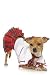 3PC Schoolgirl Cute Dog Holiday Pet Costume