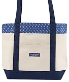 NFL Detroit Lions Tote Bag