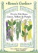 Bean Tricolor Pole Seeds 65 Seeds