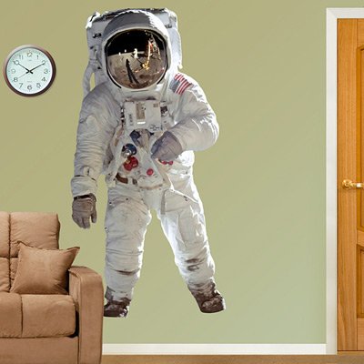 Image #1 of NASA Fathead Wall