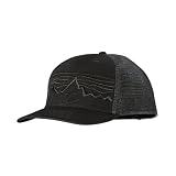 Patagonia Trucker Hat