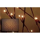 Lighted Willow Branch 60-Lights Small-Bulb