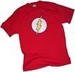 The Flash Distressed Logo Youth T-Shirt
