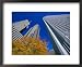 Prudential and Amoco Towers, Chicago, Illinois, USA Framed Art Poster Print, 22x18