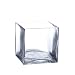 Cube Glass Vase - 6H
