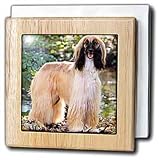 Dogs Afghan - Afghan Hound - Tile Napkin Holders