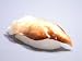 Food sample -Torigai (Cockle)- [This is not food, just food display. Made in Japanese...