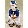 MEDIUM - FOOTBALL FEVER - Pet Halloween Costume