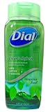 ダイアルボディウォッシュ マウンテンフレッシュ