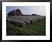 Sunrise Trail, Nova, Scotia, Caribous River Photography Framed Art Poster Print by Bill Bachmann, 31x25